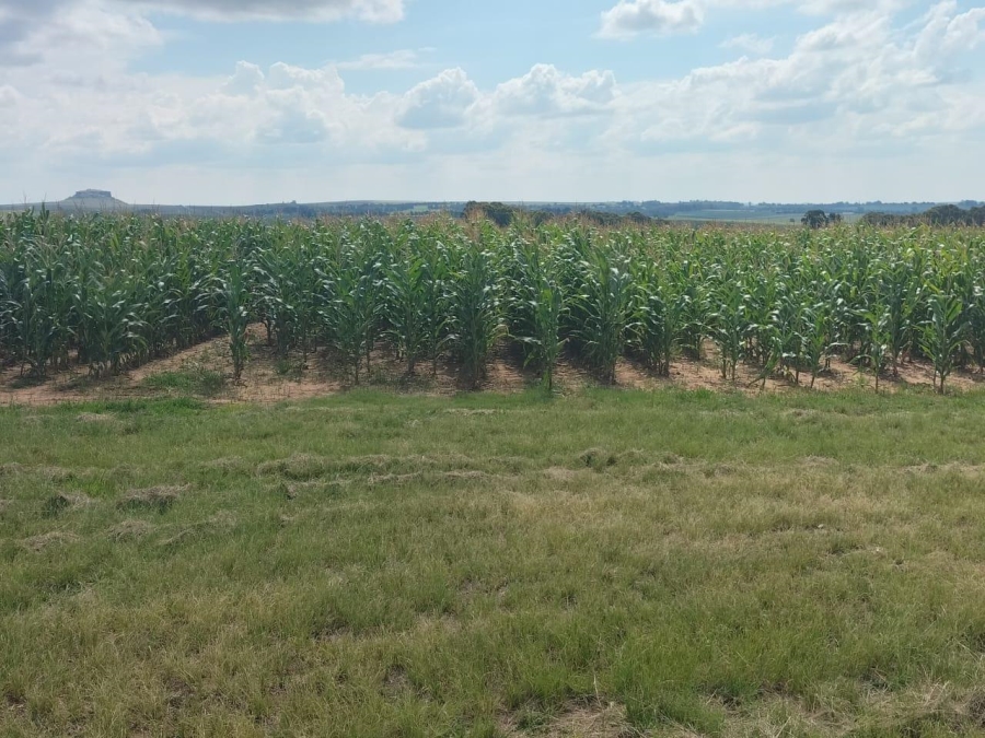 0 Bedroom Property for Sale in Bethlehem Rural Free State